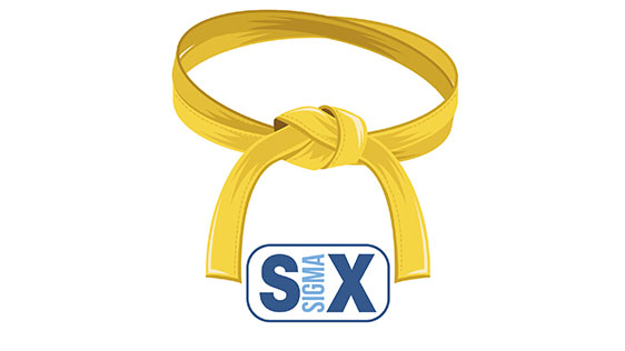 business-training-six-sigmayellow-belt