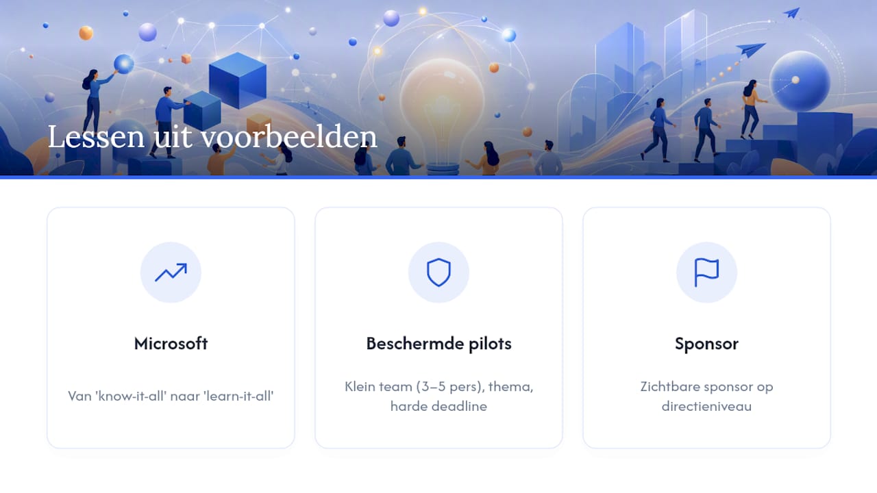 Wat leren herkenbare voorbeelden uit Nederland en internationaal? — overview diagram